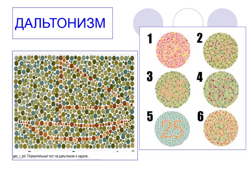 ДАЛЬТОНИЗМ